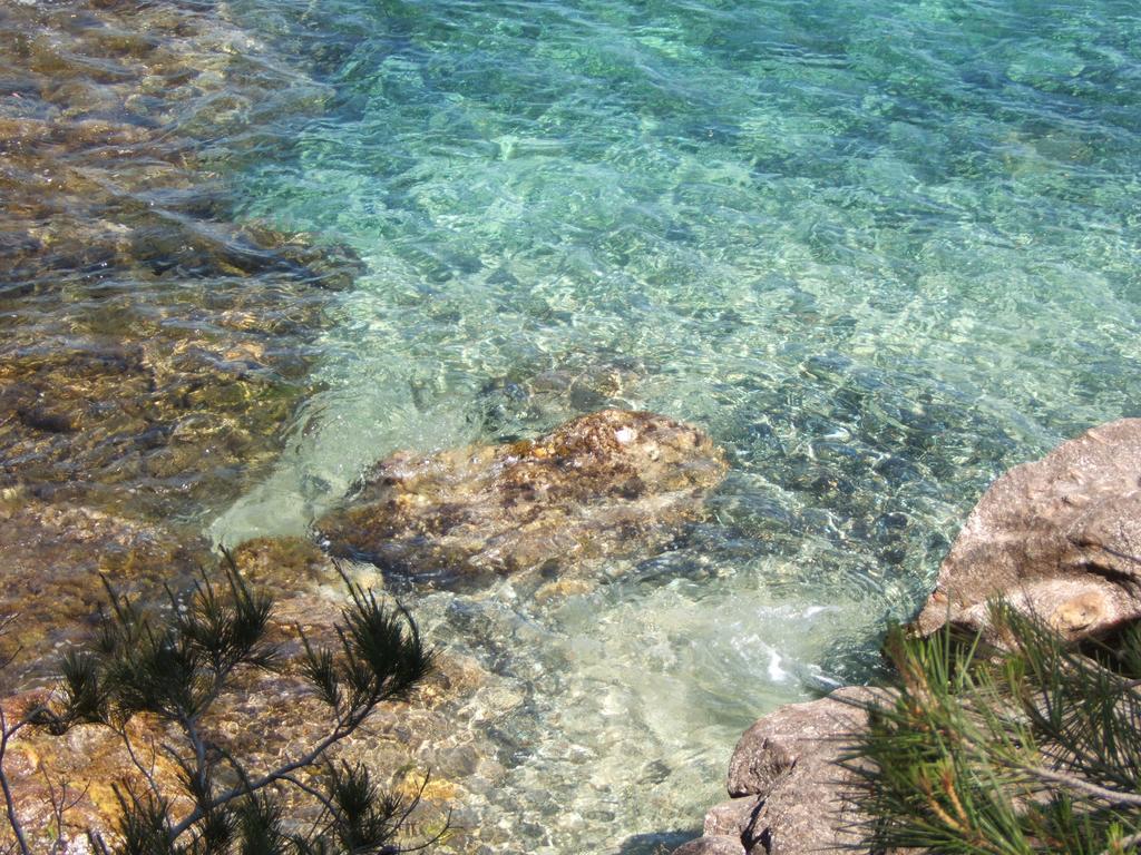 Le Rayol-Canadel-sur-Mer Les Lauriers Roses 아파트 호텔 외부 사진