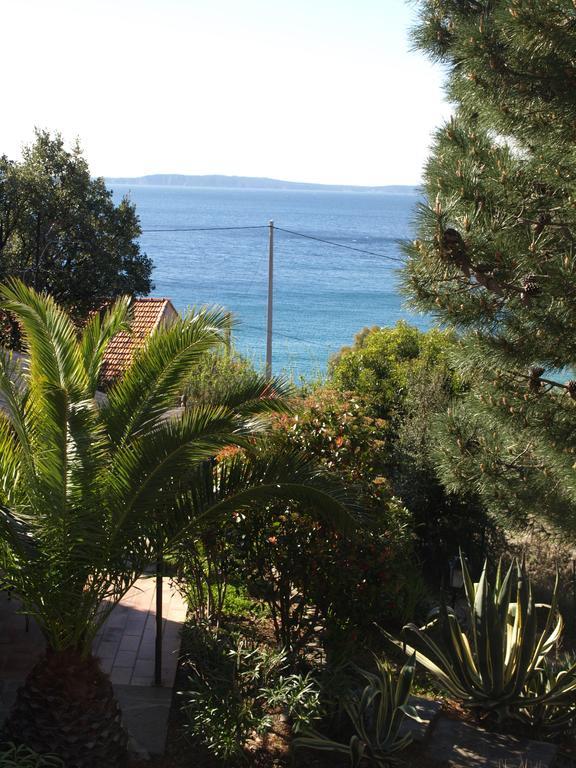 Le Rayol-Canadel-sur-Mer Les Lauriers Roses 아파트 호텔 외부 사진